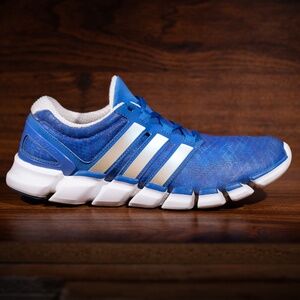 Adidas Blue and White Athletic Running Shoes